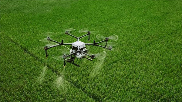 植保無人飛機施藥防控小麥穗期病蟲害指導(dǎo)意見