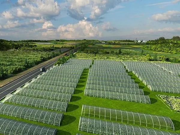 調(diào)控環(huán)境+防雨防災(zāi)助越夏蔬菜安全生長(zhǎng)