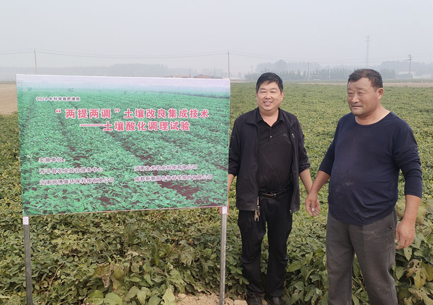 2024年10月8日西平縣花生兩提兩調(diào)試驗(yàn)田測(cè)產(chǎn)取土